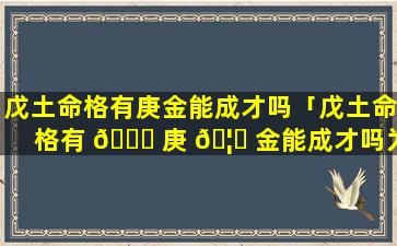 戊土命格有庚金能成才吗「戊土命格有 🍁 庚 🦟 金能成才吗为什么」